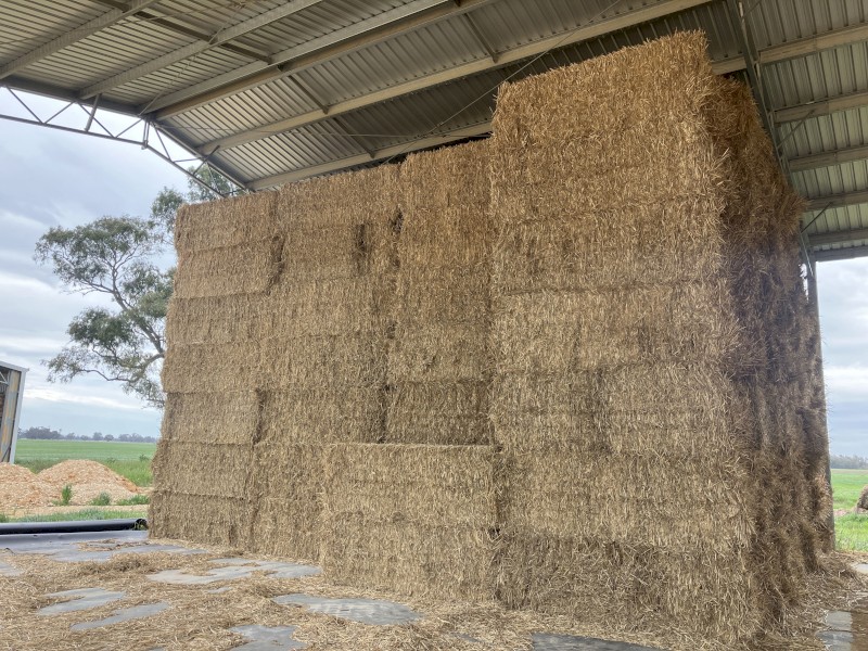 Shedded Wheaten Straw