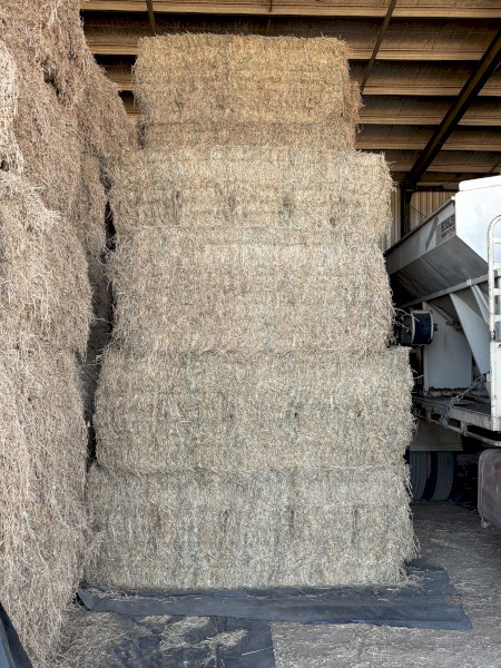 25mt Lucerne Hay 8x3x3 Bales