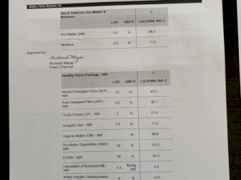 25mt Lucerne Hay 8x3x3 Bales