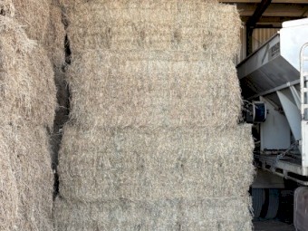25mt Lucerne Hay 8x3x3 Bales