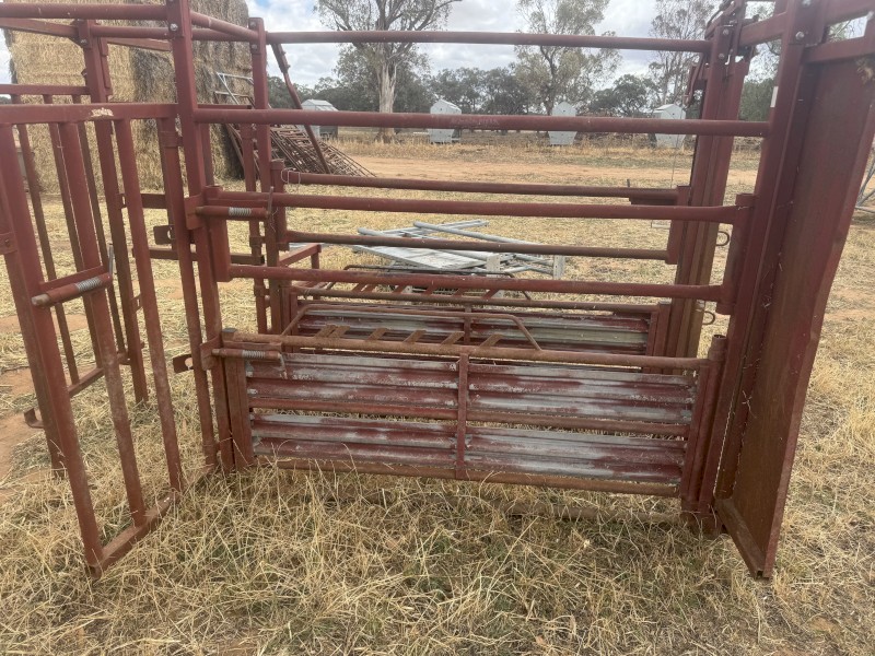 cattle crush and cattle panels