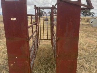 cattle crush and cattle panels