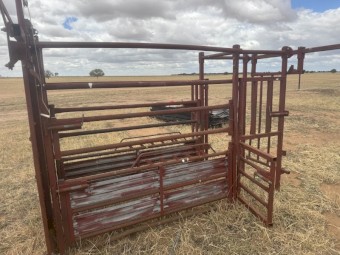 cattle crush and cattle panels
