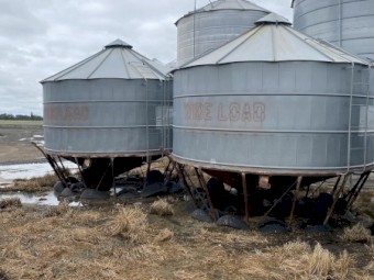 Field Bins