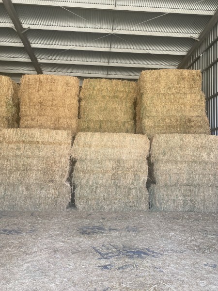 Large Lucerne Bales