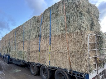 35mt Lucerne Wheaten Mixed Hay 8x4x3 Bales