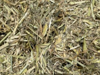 Wheat Hay