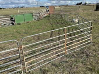 Thornton Portable Sheep Yards
