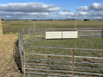 Thornton Portable Sheep Yards