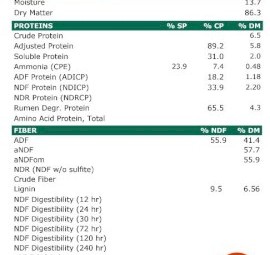 100mt Wheat and Ryegrass Hay 680kg 8x4x3 Bales