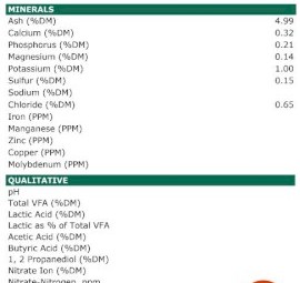 100mt Wheat and Ryegrass Hay 680kg 8x4x3 Bales