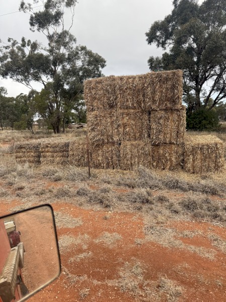 13 x Oaten Straw 8x3x3 Bales