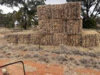 13 x Oaten Straw 8x3x3 Bales