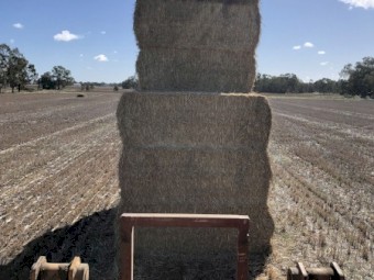 Wheat Straw (Header Trail)