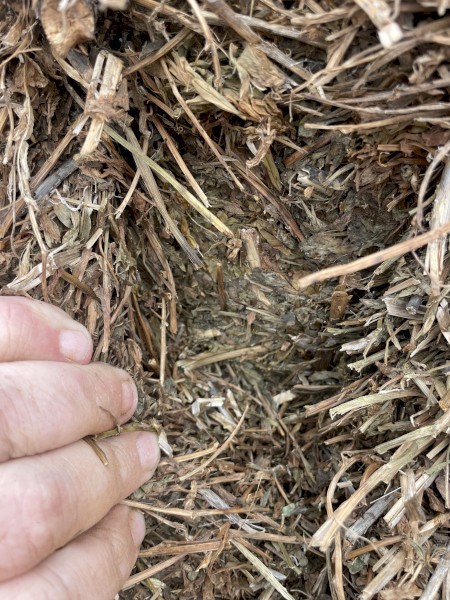 200mt Vetch Hay 8x4x3 Bales