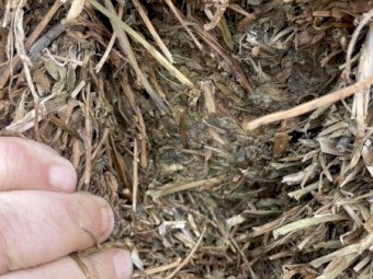 200mt Vetch Hay 8x4x3 Bales