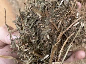 200mt Vetch Hay 8x4x3 Bales