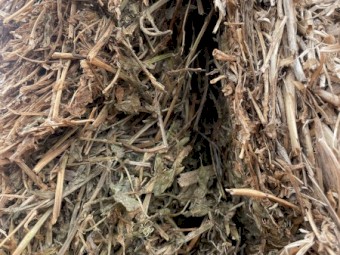 200mt Vetch Hay 8x4x3 Bales