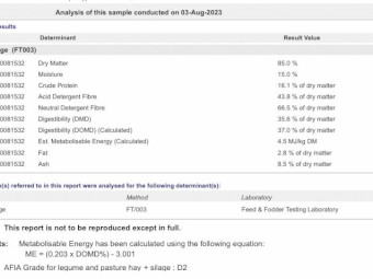 Vetch Hay 8x4x3 Bales