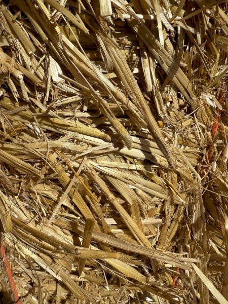 100mt Oaten Straw 8x4x3 Bales