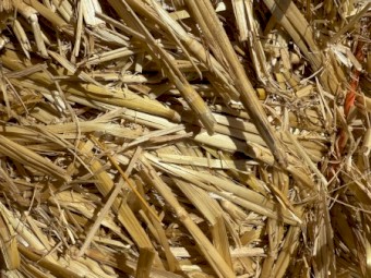 100mt Oaten Straw 8x4x3 Bales