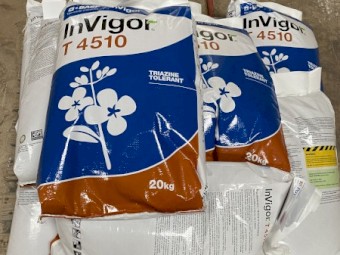 BASF Invigor T4510