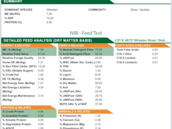 Wheaten Straw/ Tailings