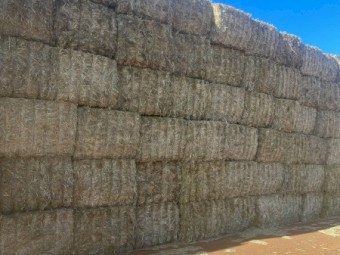 Wheaten Straw/ Tailings