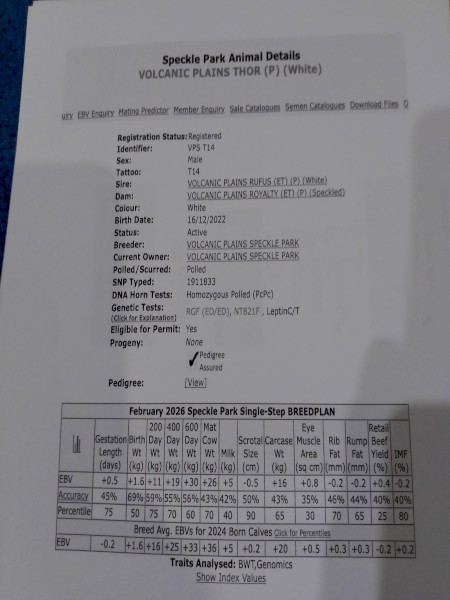 Speckle Park Bull. VPS T14.