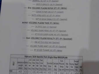 Speckle Park Bull. VPS T14.