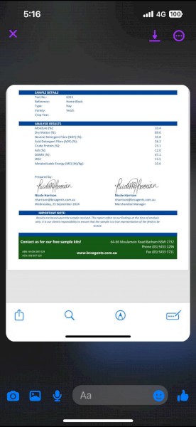 600mt Cereal Hay 8x4x3 Bales