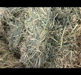 600mt Cereal Hay 8x4x3 Bales