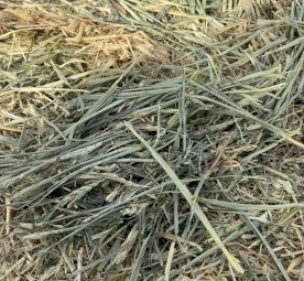 600mt Cereal Hay 8x4x3 Bales