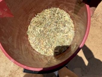 Wheaten hay 8x4x3 Bales