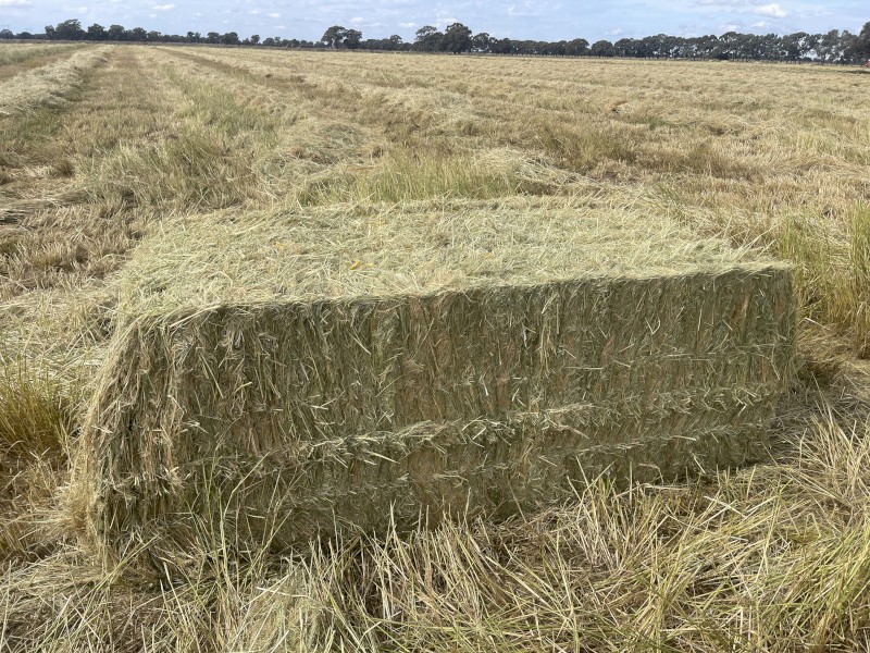 Teff Grass Straw Header Tailings