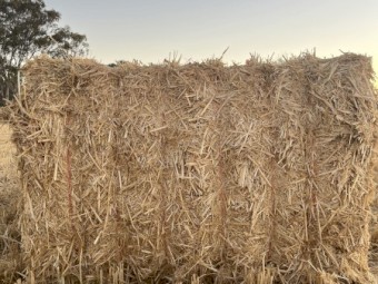 800mt Wheat Straw 8x4x3 Bales