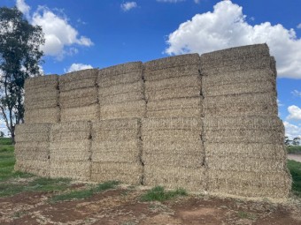 270mt Wheaten Straw 500kg 8x4x3 Bales