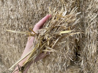 270mt Wheaten Straw 500kg 8x4x3 Bales