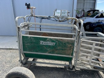 Pratley automatic sheep weighing crate with scales 
