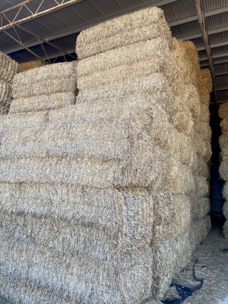 Wheat straw tailings