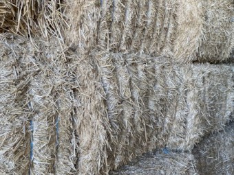 Wheat straw tailings
