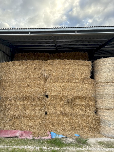 oaten hay