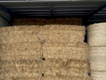 oaten hay
