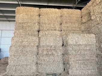 Oaten Hay