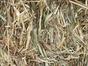 150mt Oaten Hay 600kg 8x4x3 Bales