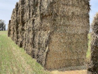 150mt Oaten Hay 600kg 8x4x3 Bales
