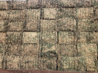 240mt Pea Hay 8x4x3 Bales (New Season 23/24)