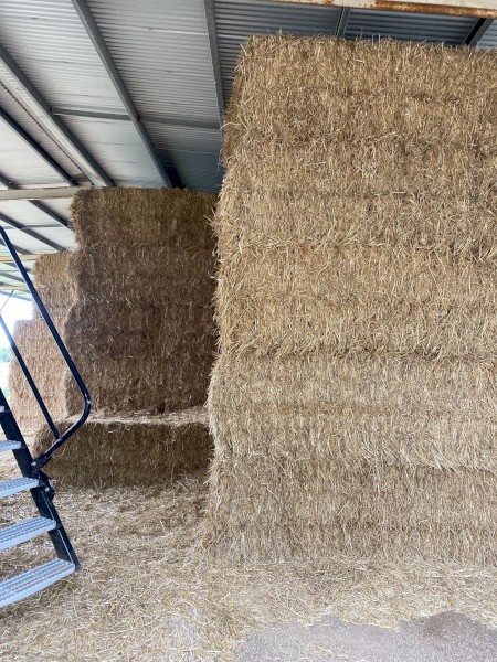 100mt Wheaten Straw 500kg 8x4x3 Bales