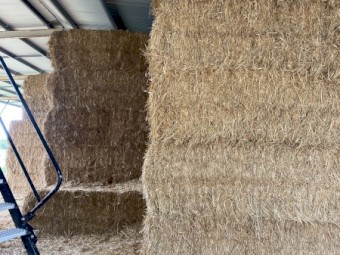 100mt Wheaten Straw 500kg 8x4x3 Bales