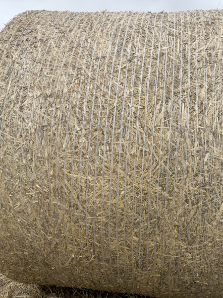 Moby Barley hay 5x4 rounds 